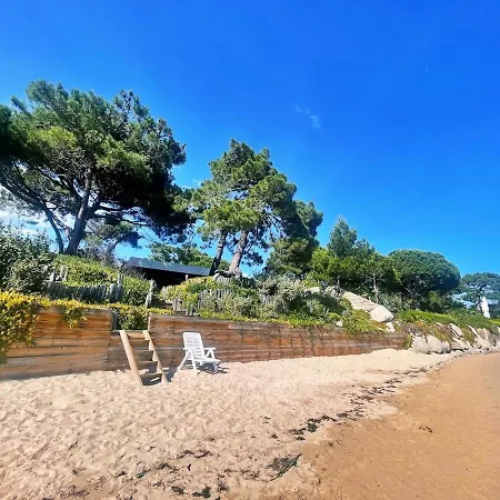 Aconit - Les Pieds Dans L'eau Lecci